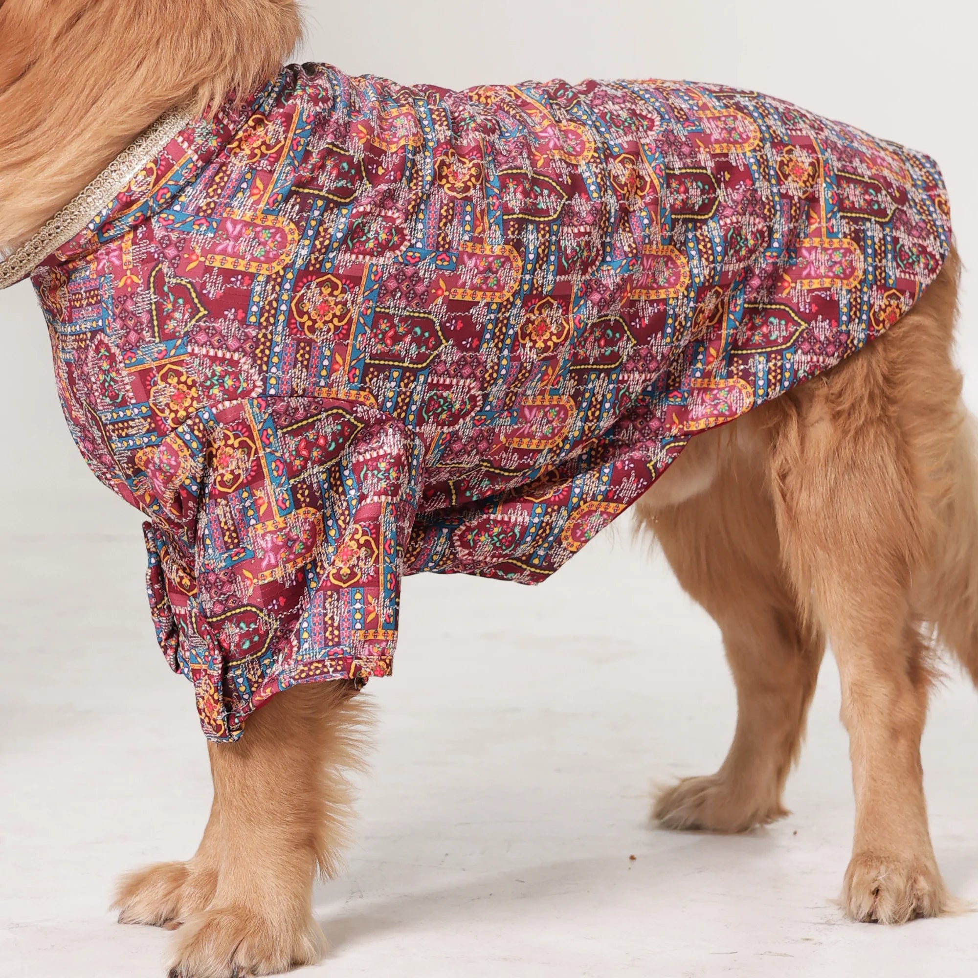 RangMahal Printed Ethnic Dog Kurta- Full Sleeve Wedding & Festive Wear