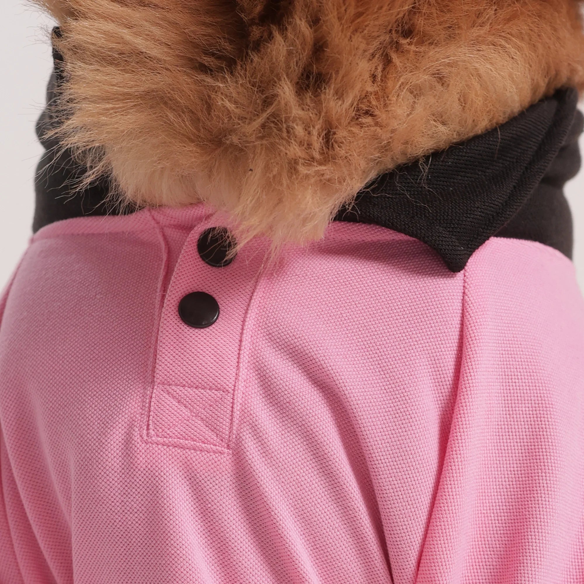 Comfort Polo Tee- Polycotton Everyday Dog T-Shirt