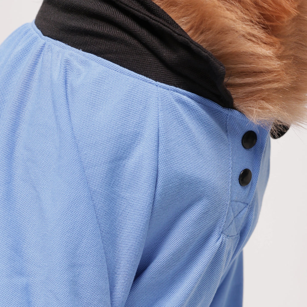 Classic Sky Blue Dog Polo T-Shirt – Smart Casual Collar Shirt for Everyday Wear