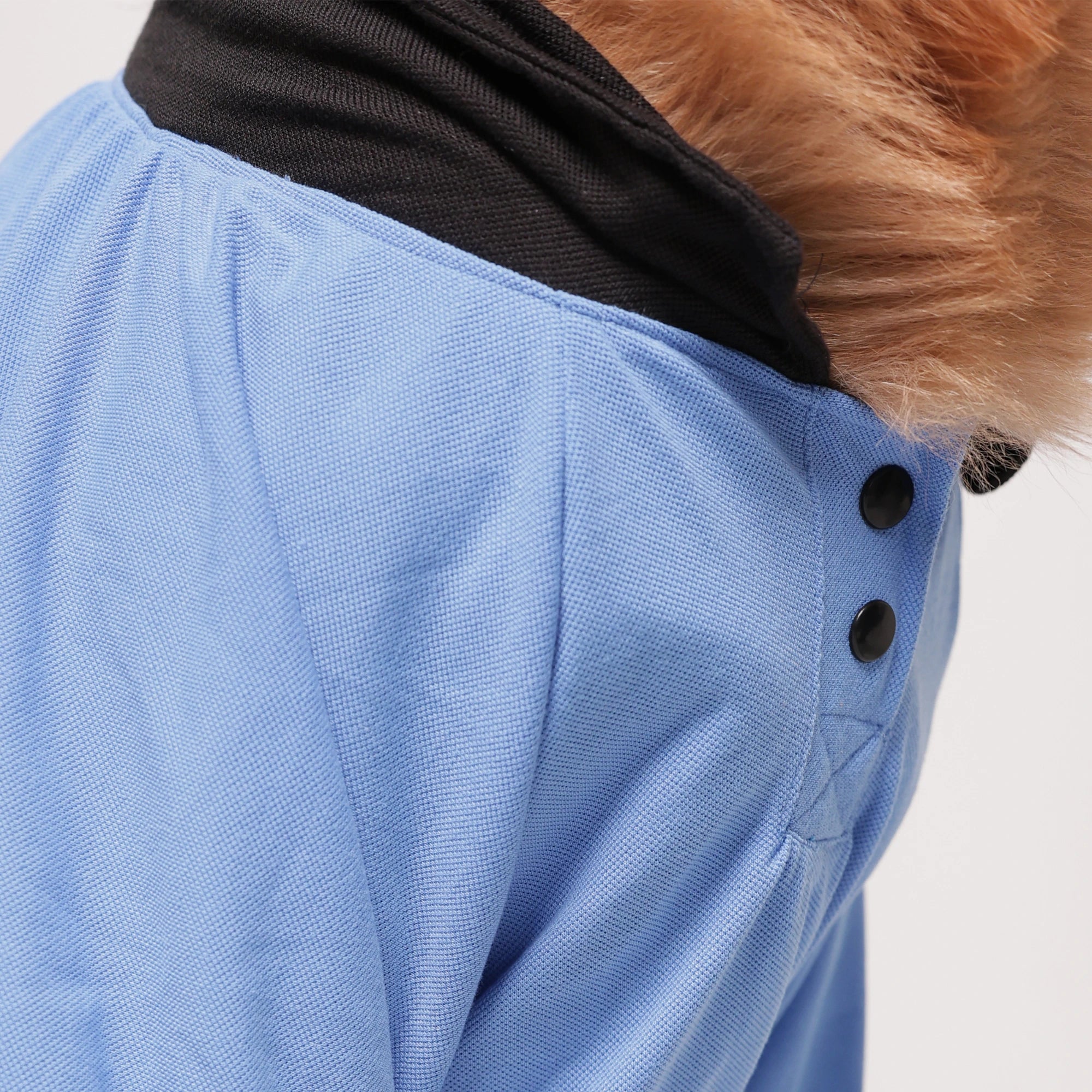 Classic Sky Blue Dog Polo T-Shirt – Smart Casual Collar Shirt for Everyday Wear