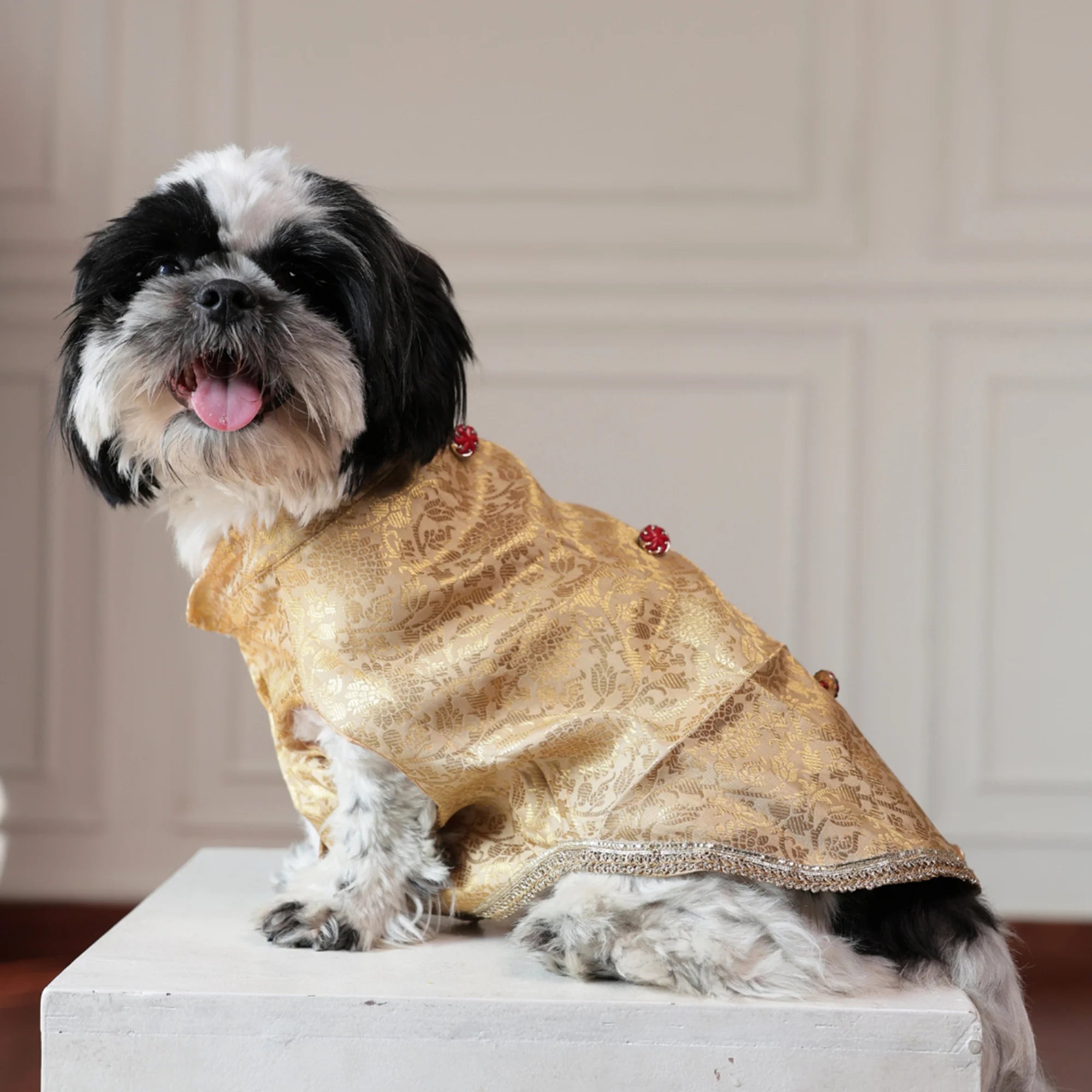 Royal Rajwada Dog Kurta- Brocade Wedding & Festive Ethnic Wear