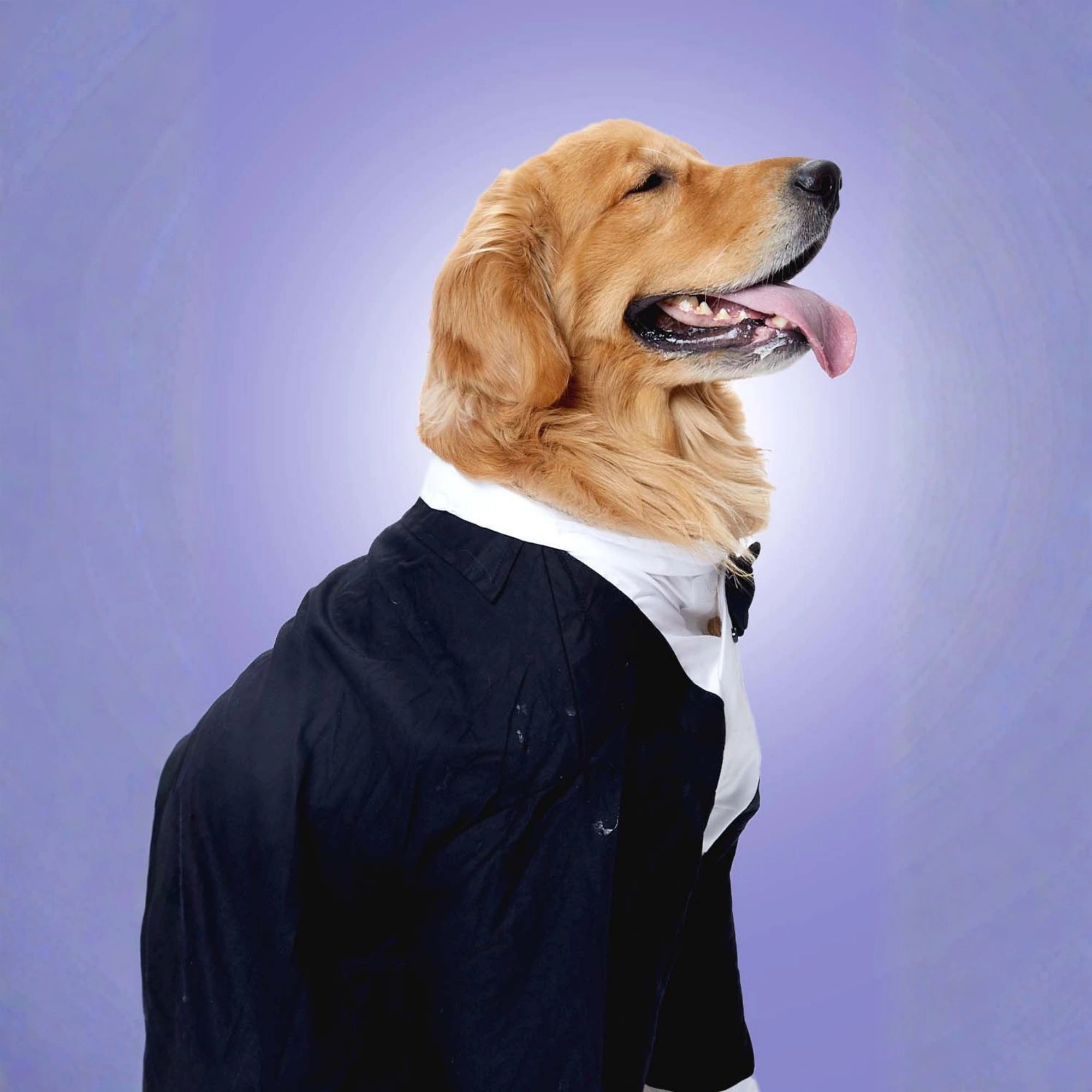 Furryfits Midnight Gala Tux Dog Clothes – Elegant & Sophisticated Formal Wear