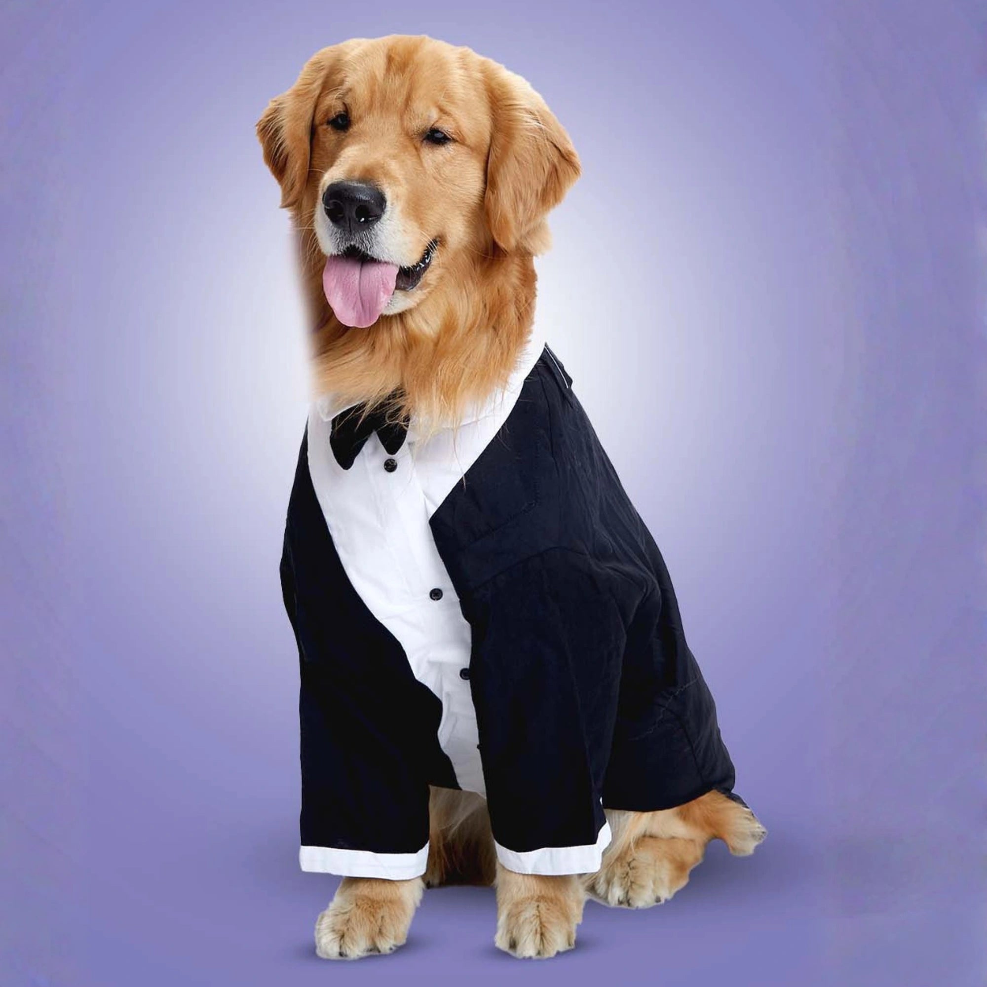Furryfits Midnight Gala Tux Dog Clothes – Elegant & Sophisticated Formal Wear