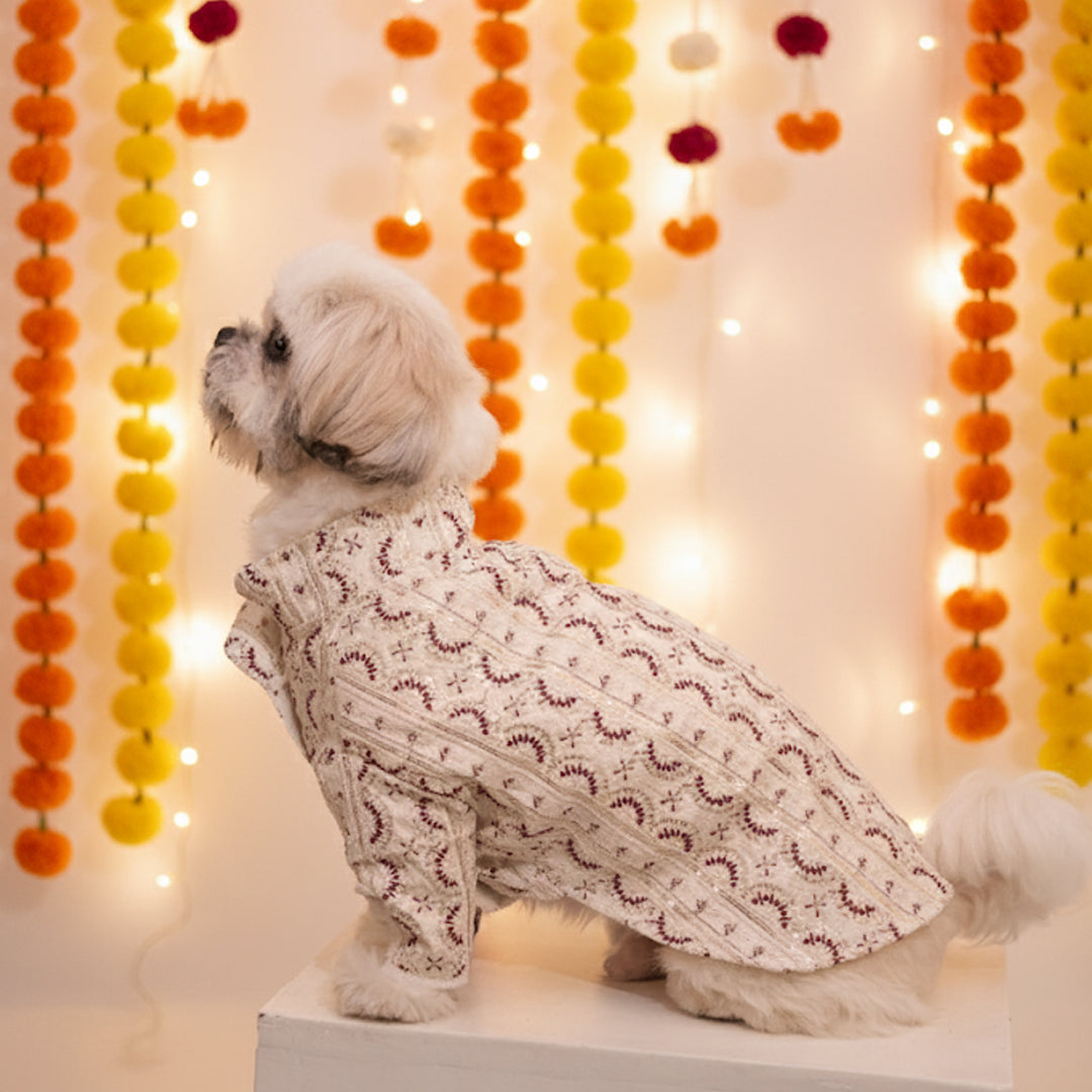 Festive Glory Kurta (white-Red)