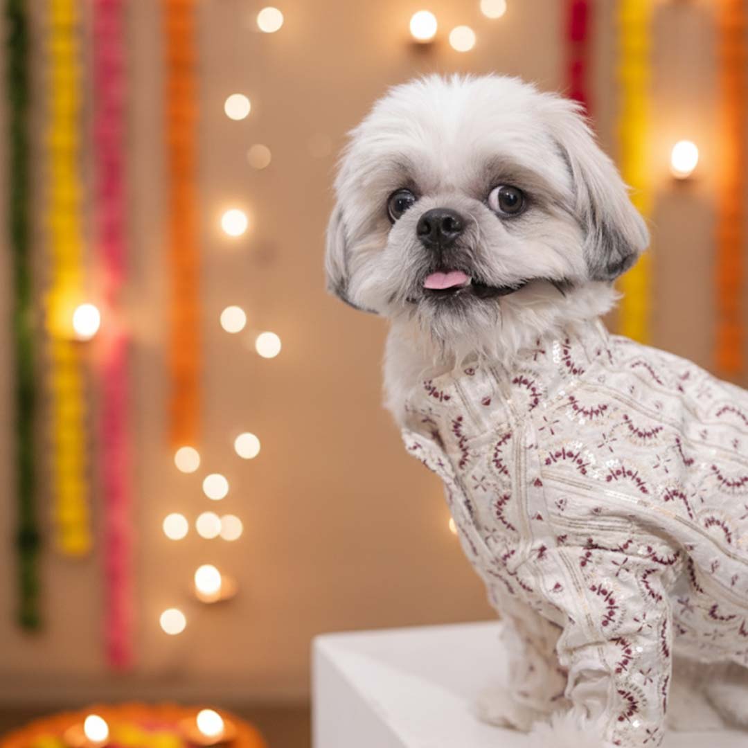 Festive Glory Kurta (white-Red)