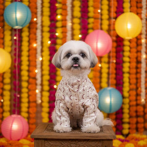 Brighten up your pet’s festive wardrobe with the Festive Glory Kurta in white and red. Crafted from ...
