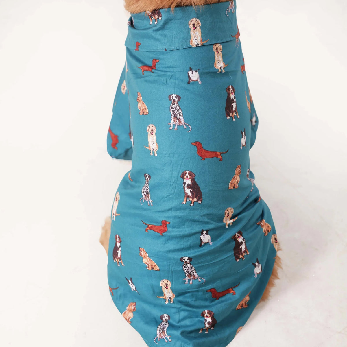 Playful Paws Printed Dog Shirt- Lightweight Casual Summer Wear