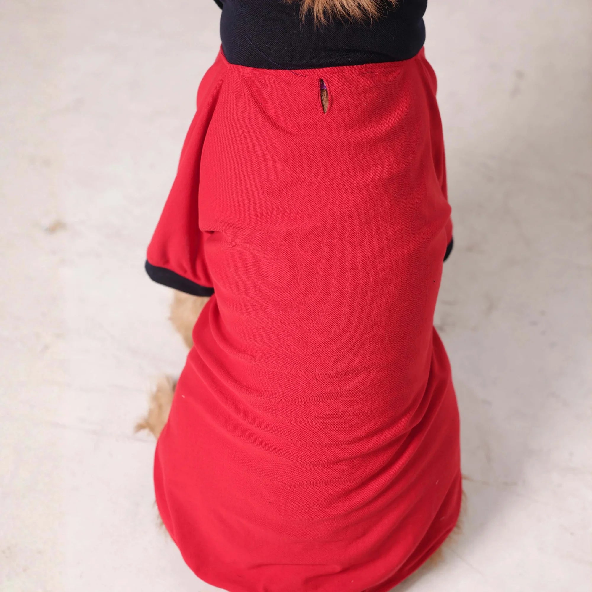 Classic Polycotton Polo Dog T-Shirt- Smart Casual Everyday Wear (Red)