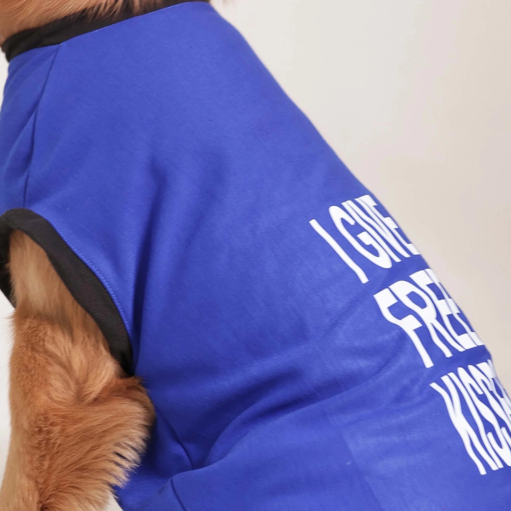 I Give Free Kisses Printed Dog T-Shirt- Cute Casual Wear (Blue)