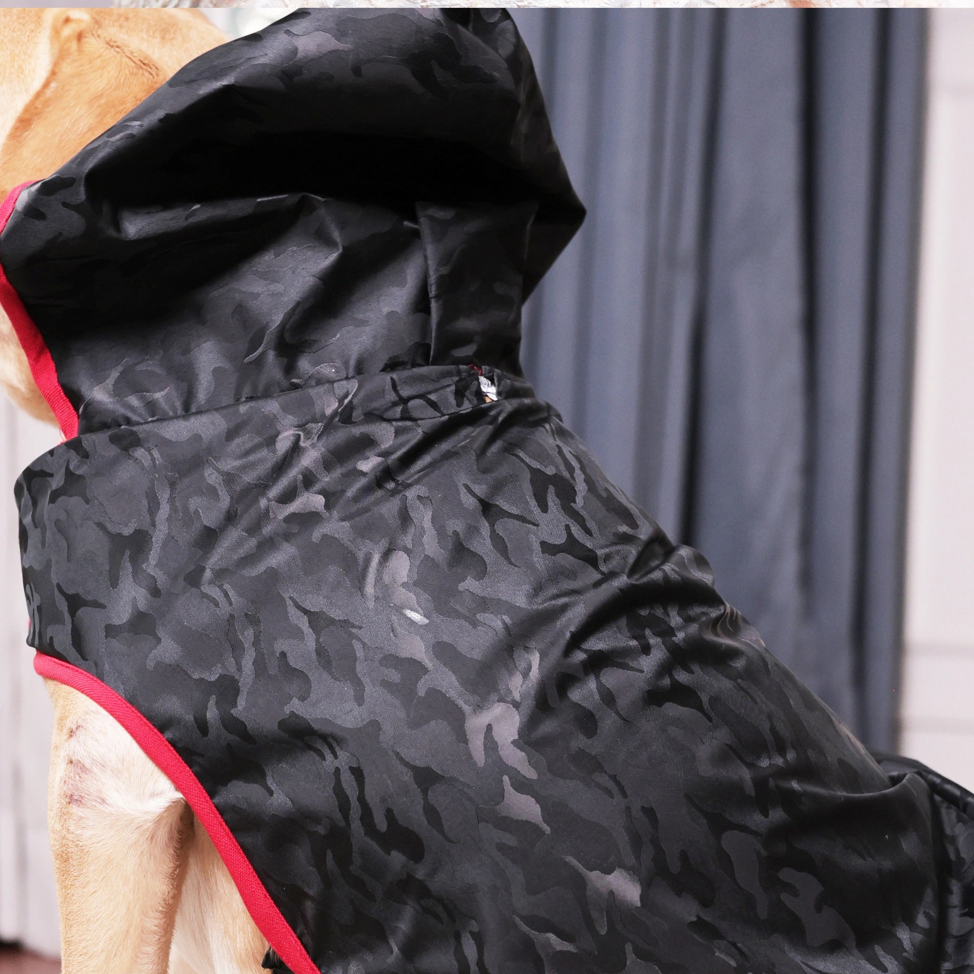 Camouflage Waterproof Dog Raincoat with Hood – Lightweight Rain Jacket for Dogs