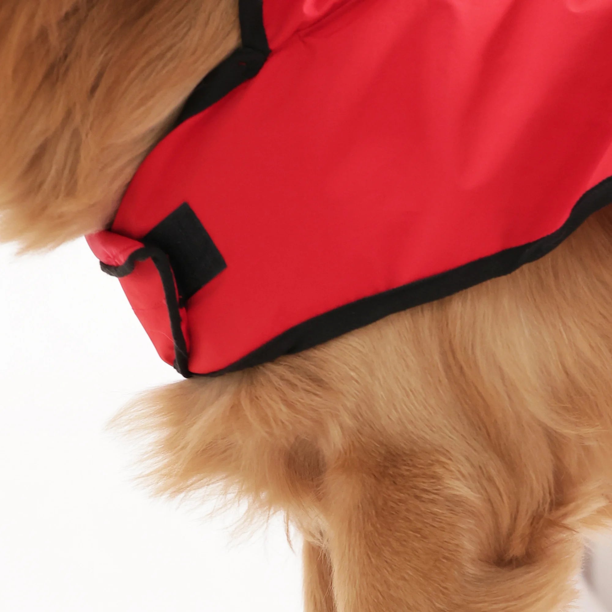 Happy Paws Printed Waterproof Dog Raincoat- Lightweight Cartoon Monsoon Jacket