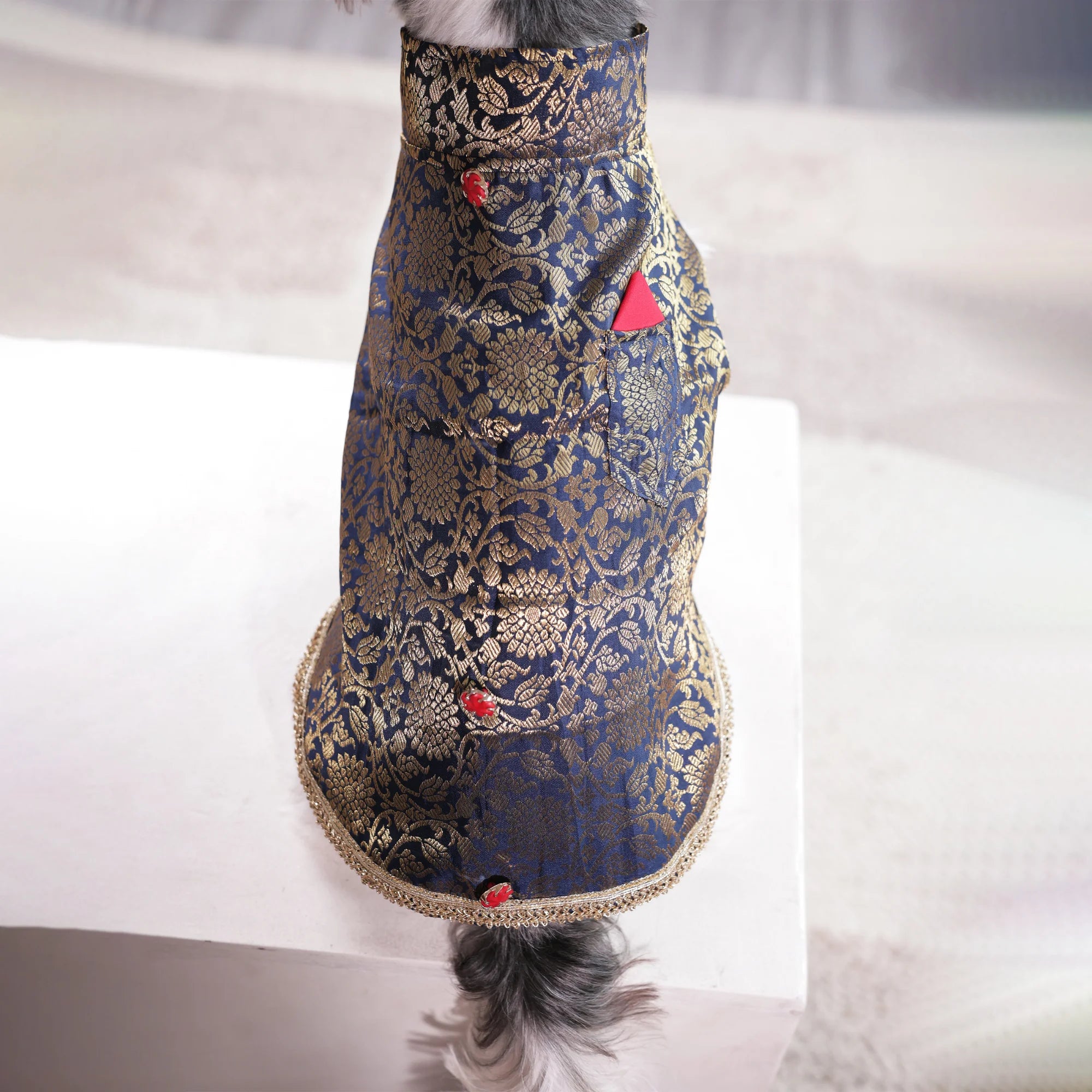 Royal Brocade Dog Kurta – Luxury Wedding & Festive Ethnic Wear (Navy & Gold)