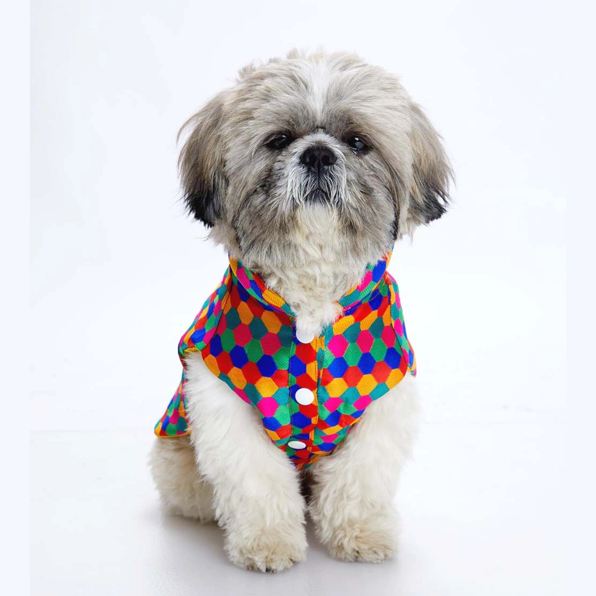 Furryfits Polka Dots Kurta – Stylish & Comfortable Dog Traditional Wear