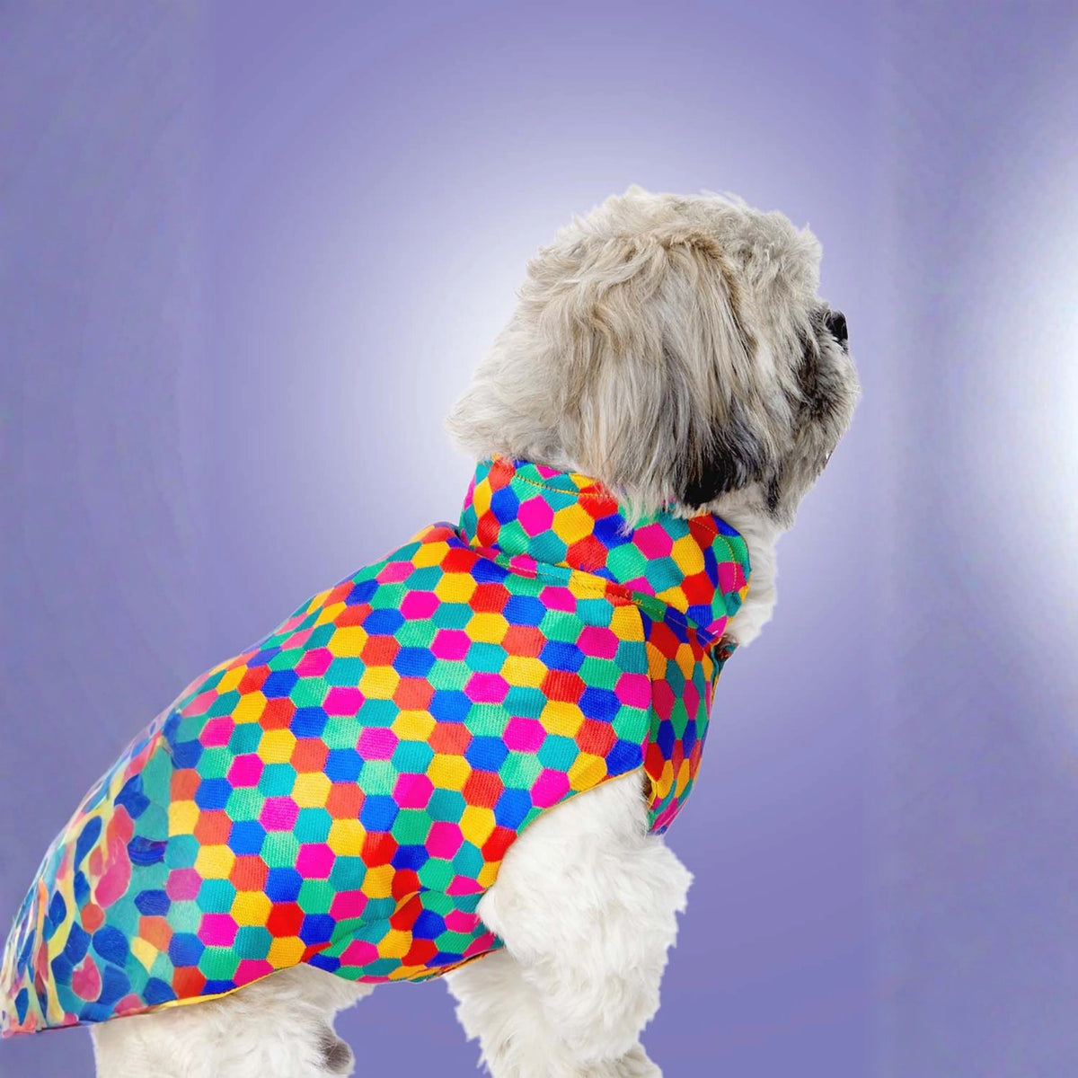 Furryfits Polka Dots Kurta – Stylish & Comfortable Dog Traditional Wear