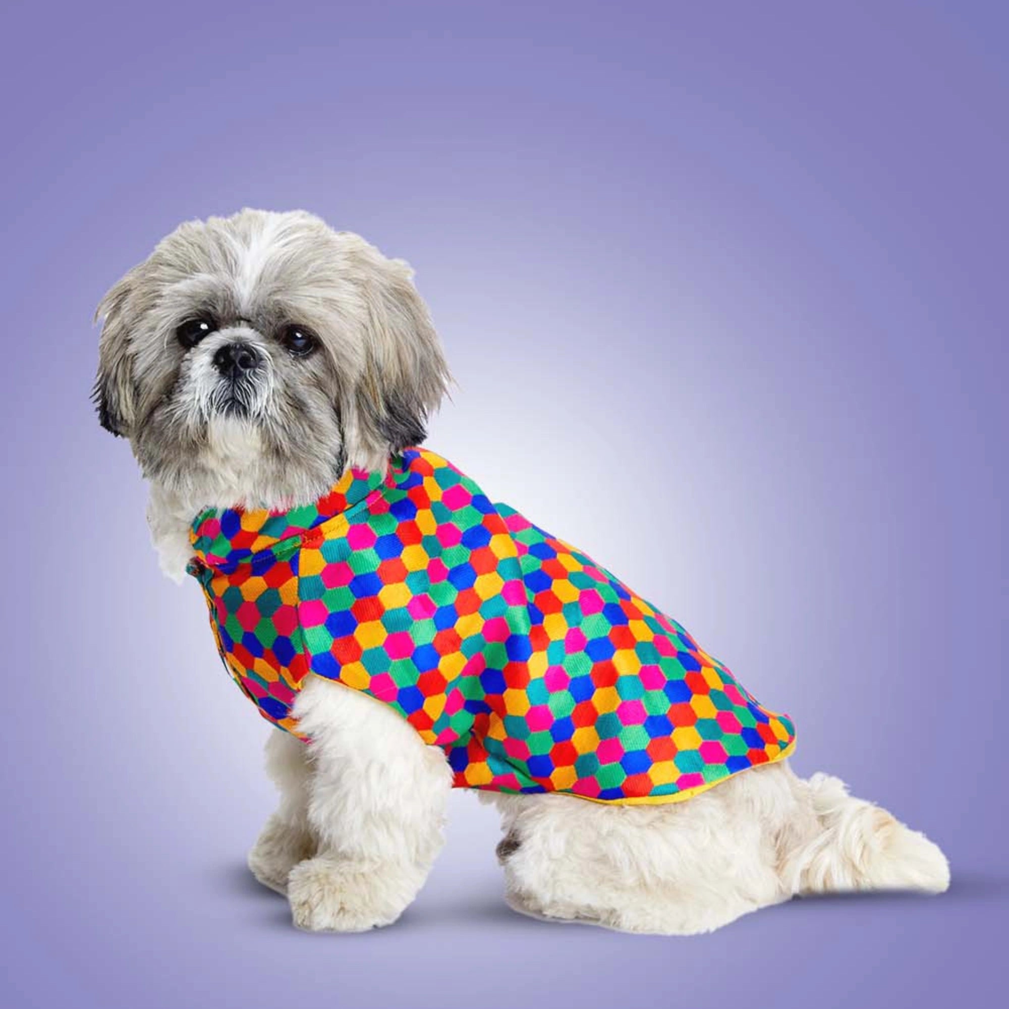 Furryfits Polka Dots Kurta – Stylish & Comfortable Dog Traditional Wear