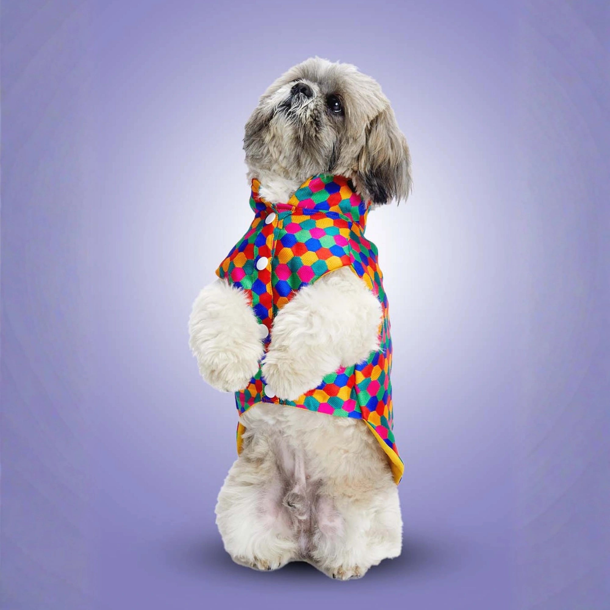 Furryfits Polka Dots Kurta – Stylish & Comfortable Dog Traditional Wear