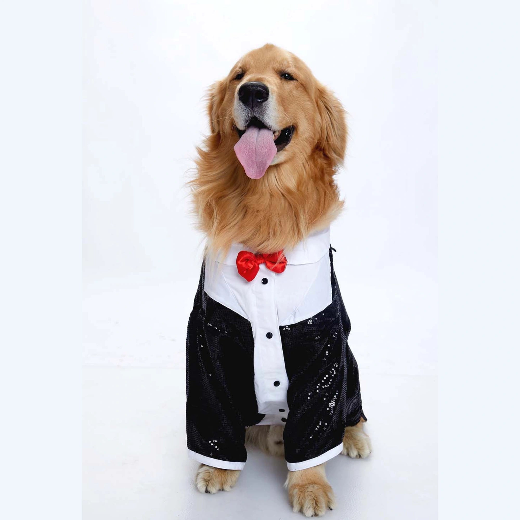 Furryfits Sparkle Party Tux Dog Clothes – Stylish & Elegant Party Wear