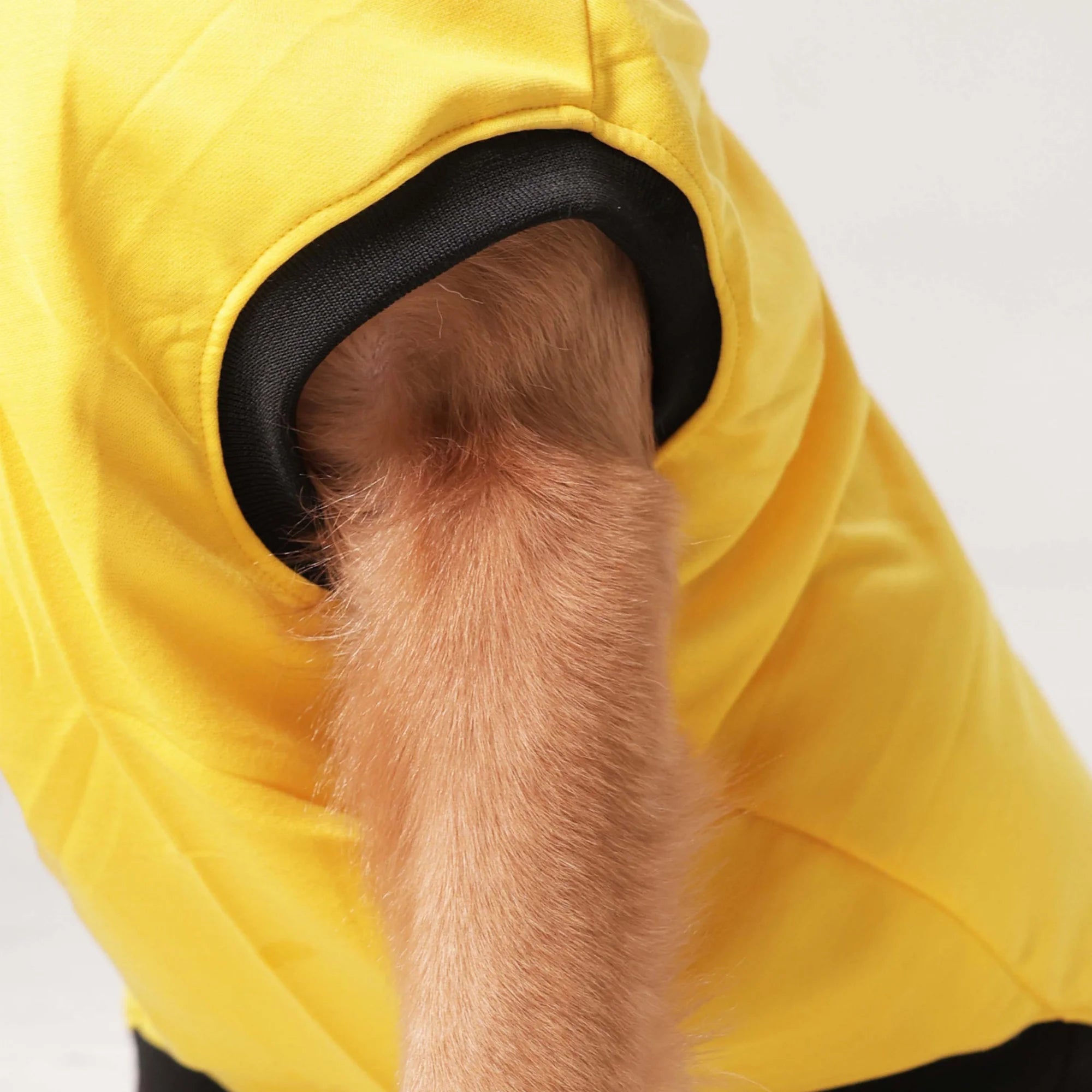 “Cute Dog” Graphic T-Shirt – Casual Everyday Wear (Yellow)