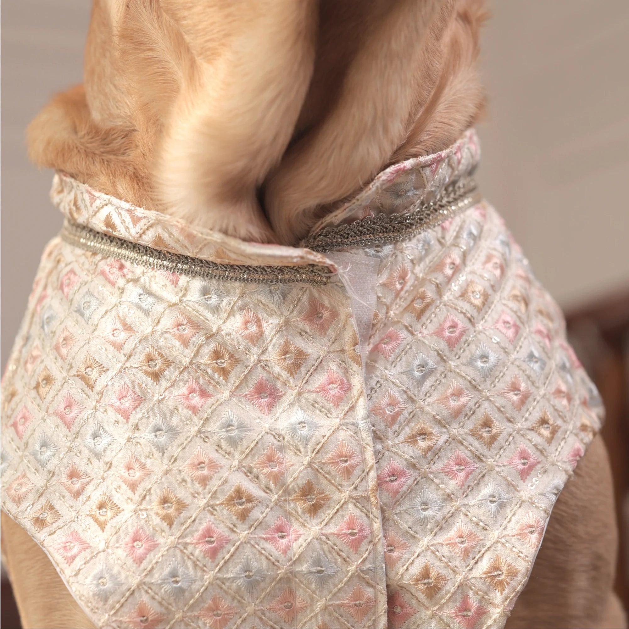 Luxe Pastel Festive Dog Kurta- Regal Monosilk Wedding Outfit