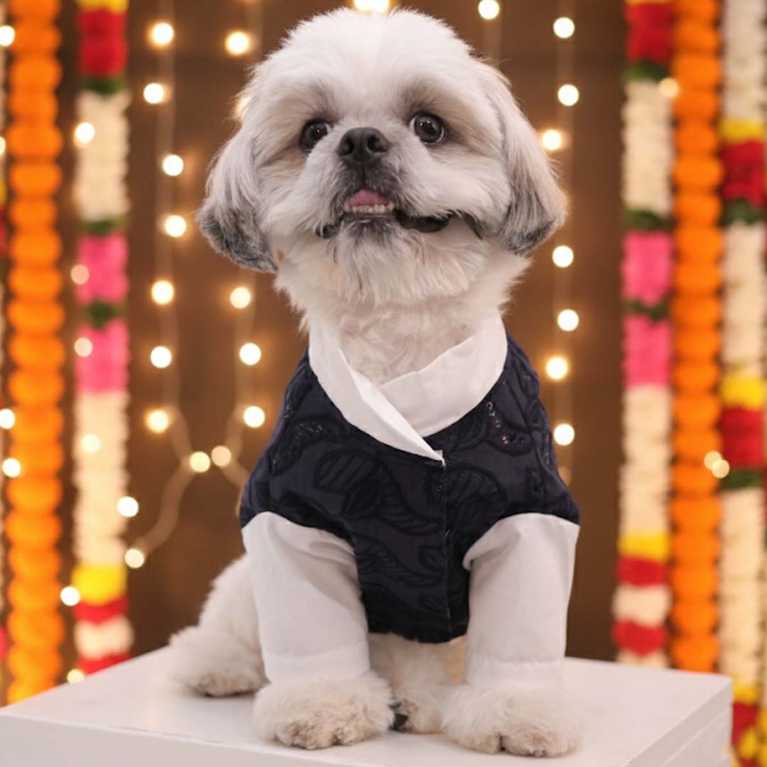 Royal Blue Modi Kurta