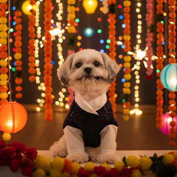 Royal Blue Modi Kurta