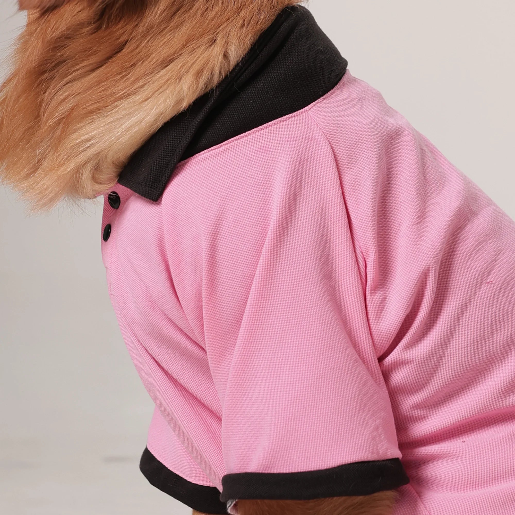Comfort Polo Tee- Polycotton Everyday Dog T-Shirt