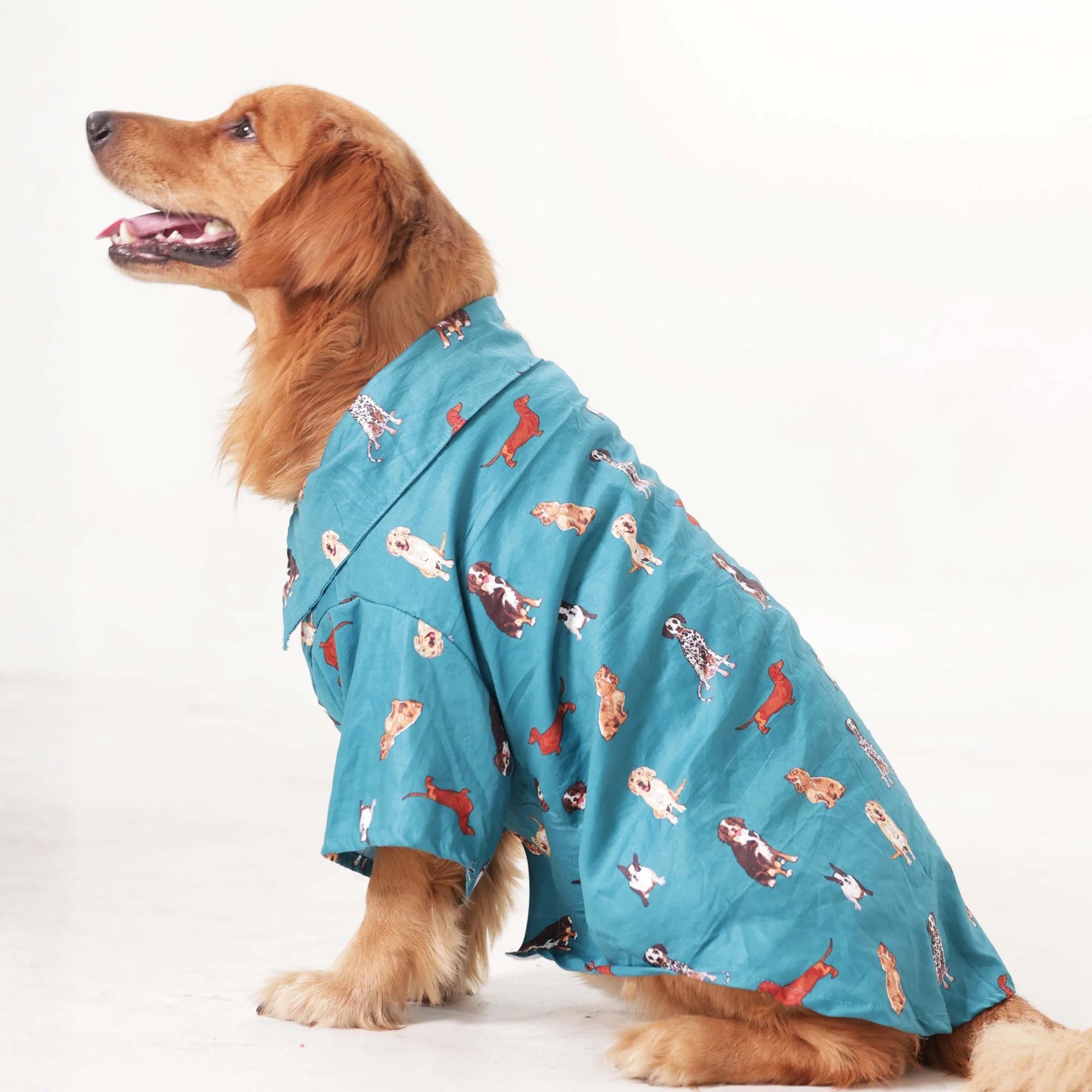 Playful Paws Printed Dog Shirt- Lightweight Casual Summer Wear