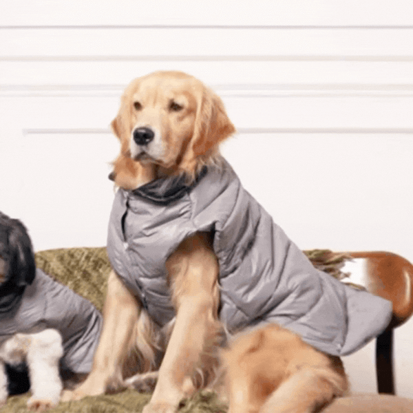 GreyWhisper Puffer – Elegant Grey Winter Pet Jacket