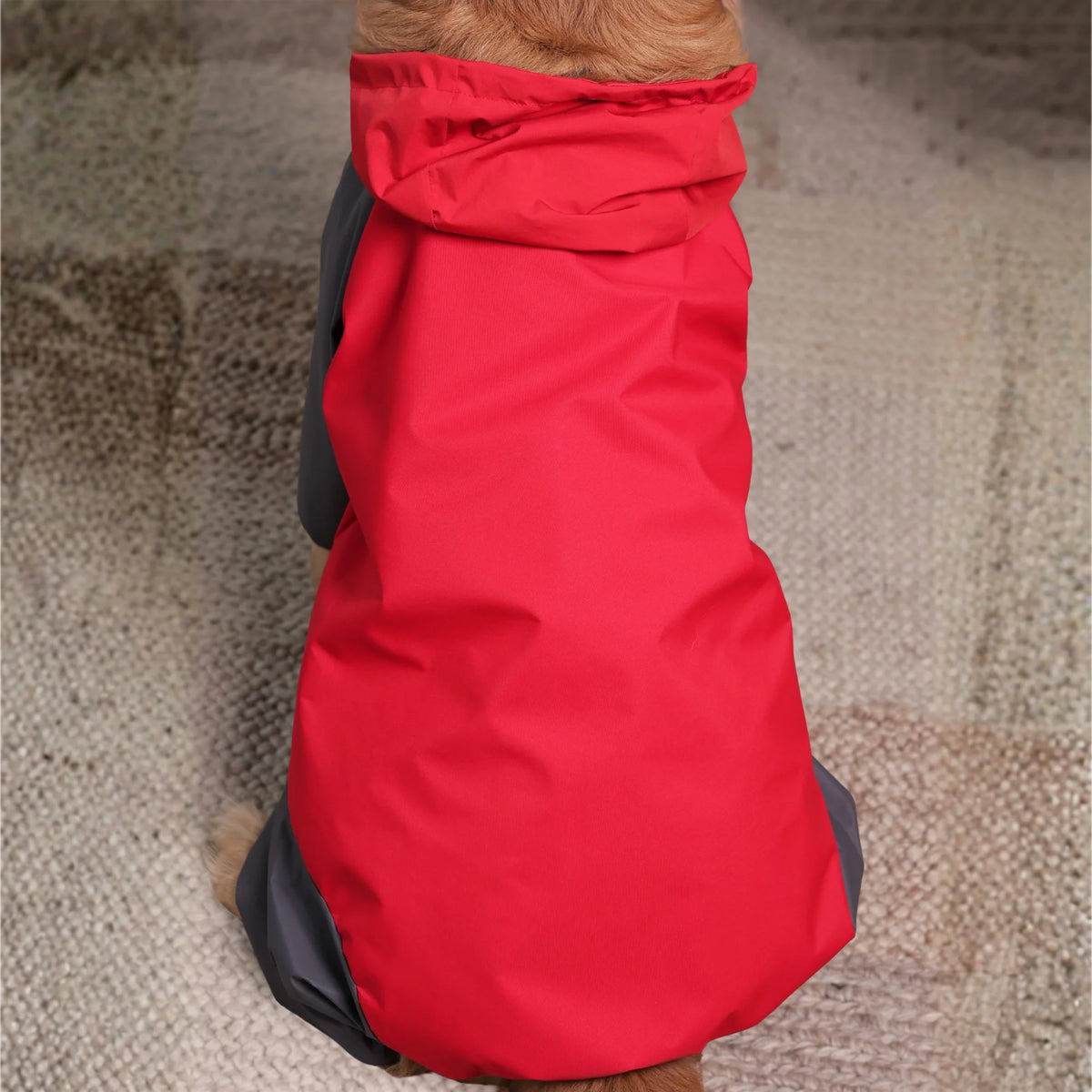 Storm Guard Waterproof Dog Raincoat with Hood- Lightweight All Weather Protection