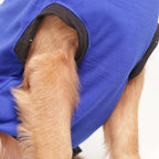 Cute Dog Graphic Printed T-Shirt- Casual Everyday Wear (Blue)