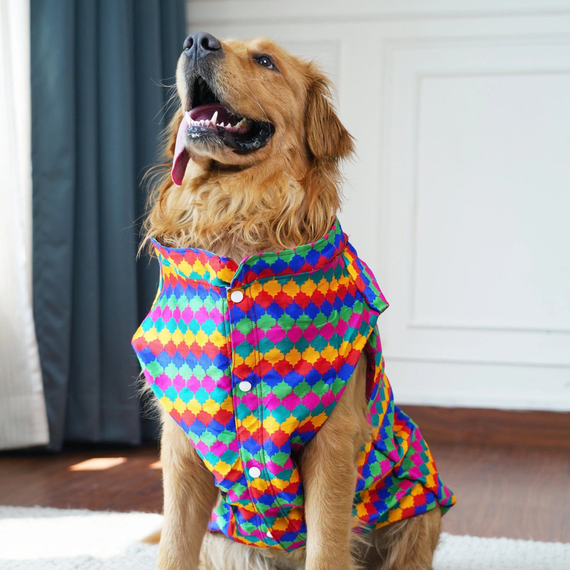 Multicolor Geometric Designer Dog Kurta Premium Polycotton Party Wear Kurta for Dogs