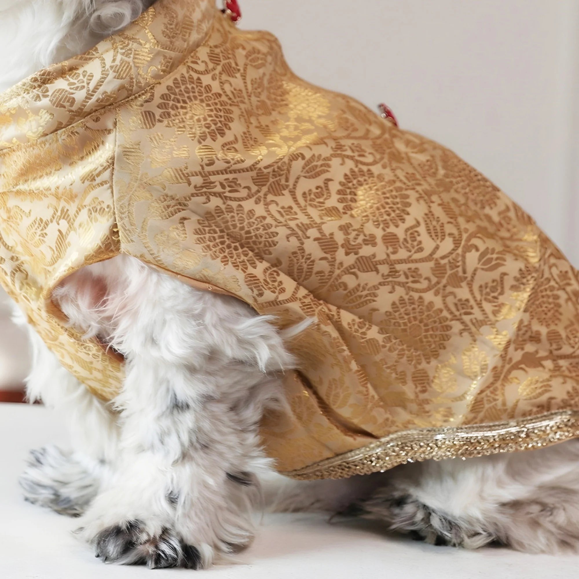 Royal Rajwada Dog Kurta- Brocade Wedding & Festive Ethnic Wear