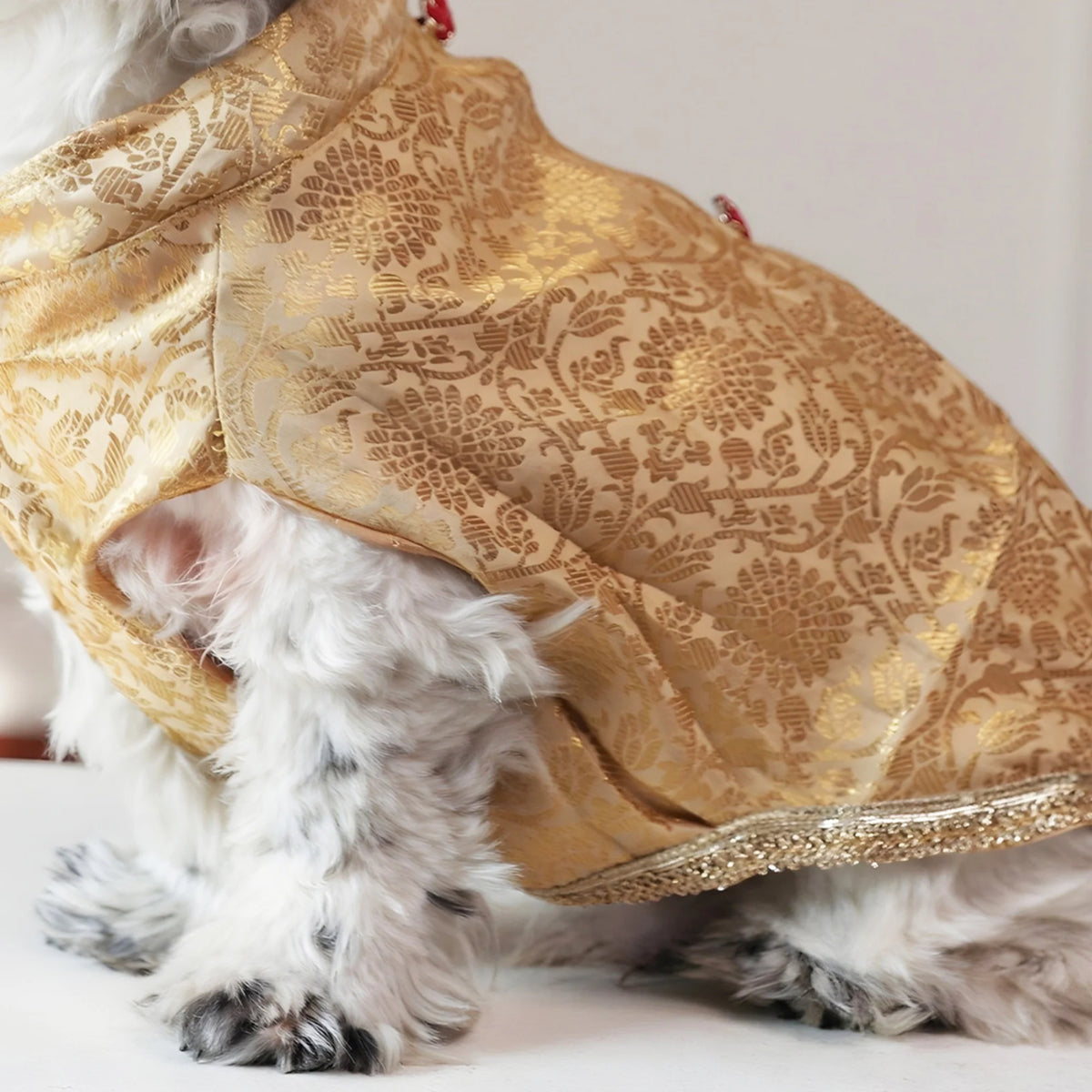 Royal Rajwada Dog Kurta- Brocade Wedding & Festive Ethnic Wear
