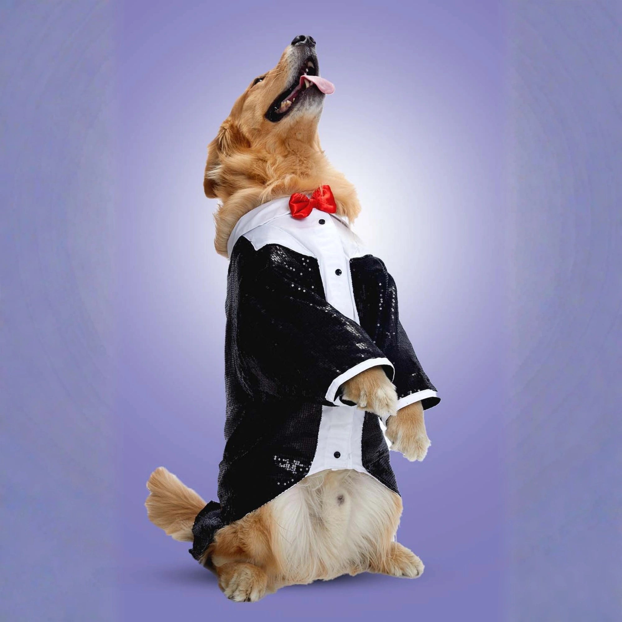 Furryfits Sparkle Party Tux Dog Clothes – Stylish & Elegant Party Wear