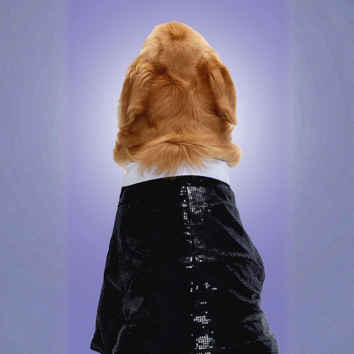 Furryfits Sparkle Party Tux Dog Clothes – Stylish & Elegant Party Wear