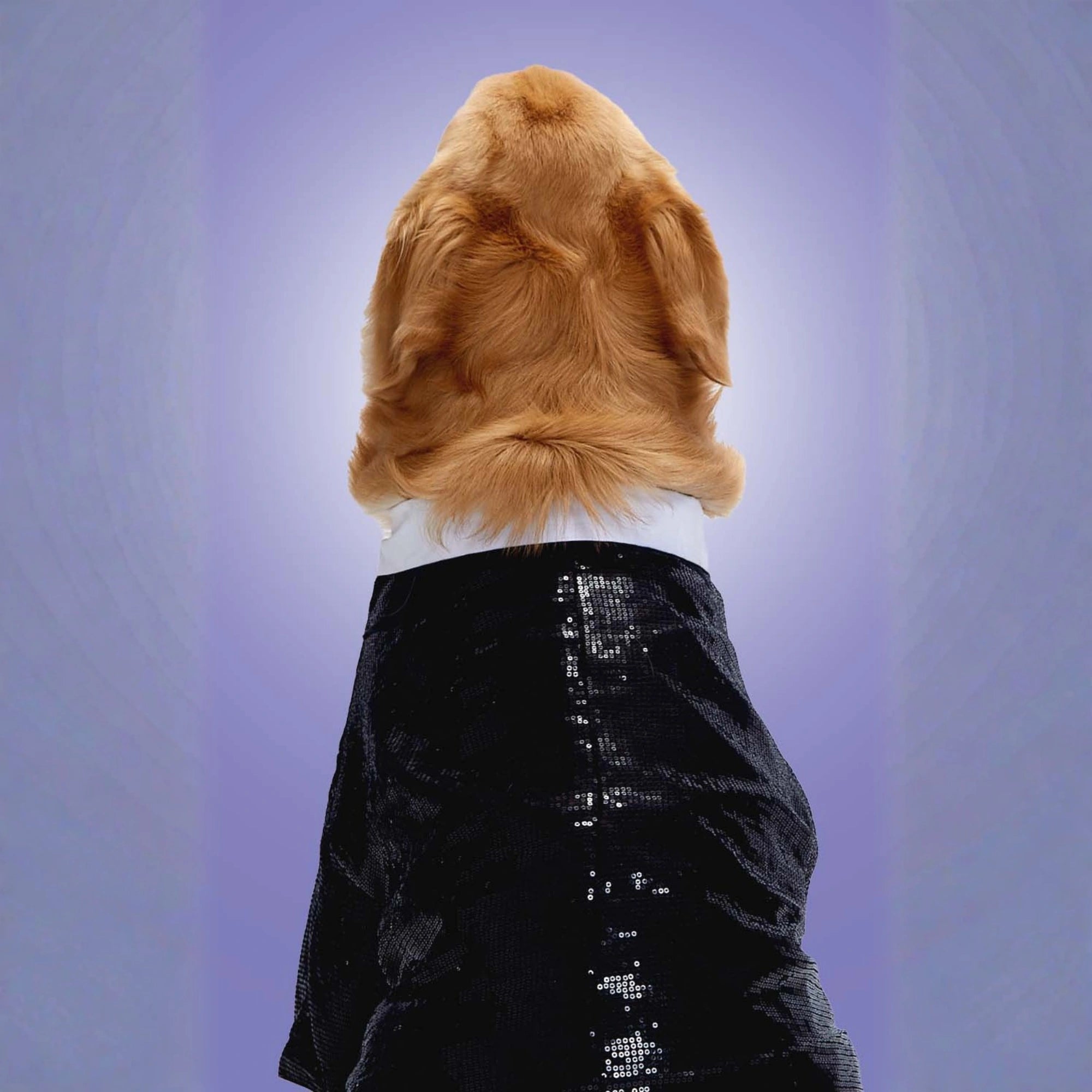 Furryfits Sparkle Party Tux Dog Clothes – Stylish & Elegant Party Wear