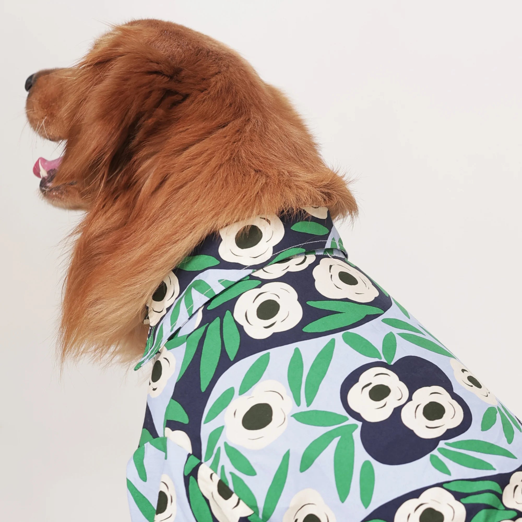 Tropical Bloom Designer Dog Shirt- Floral Summer Casual Outfit