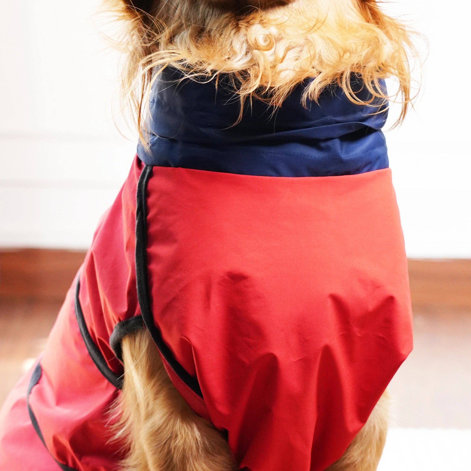 Waterproof Dog Raincoat (Red & Navy) – Lightweight Sleeveless Rain Jacket with Neck Protection