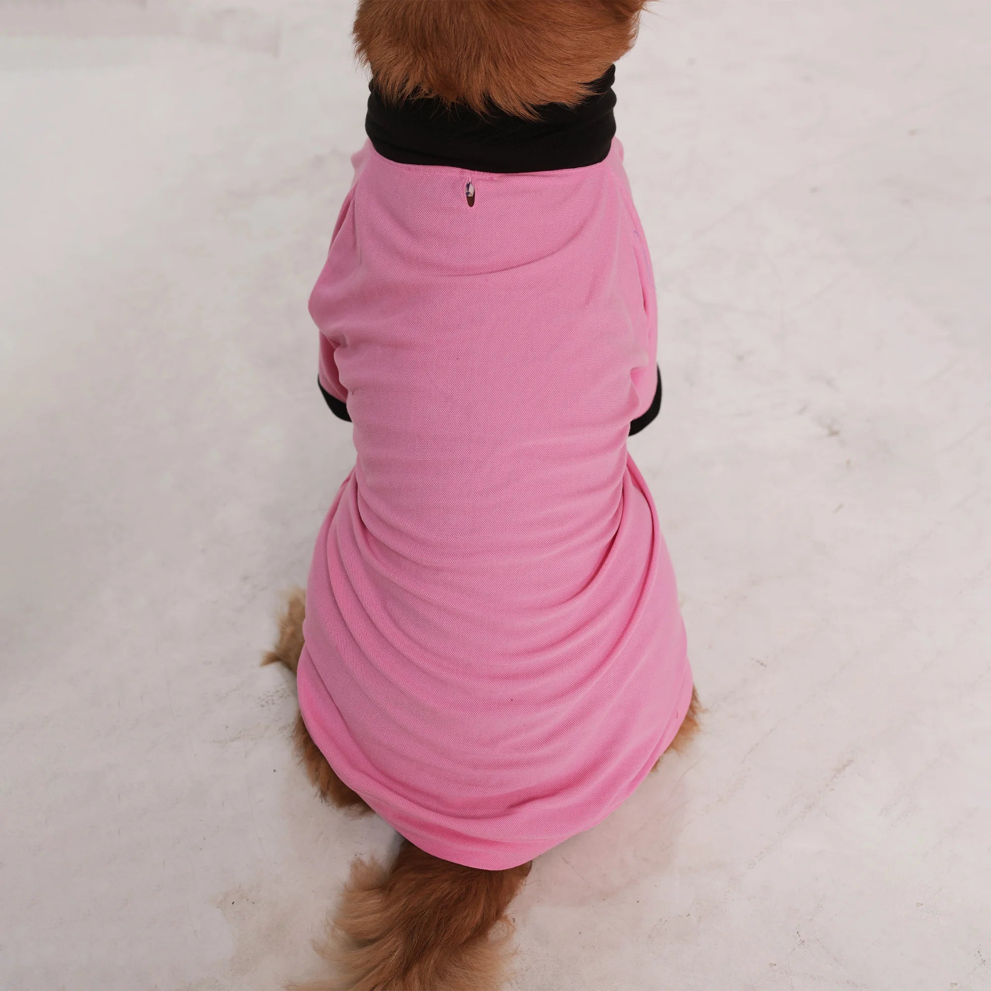 Comfort Polo Tee- Polycotton Everyday Dog T-Shirt