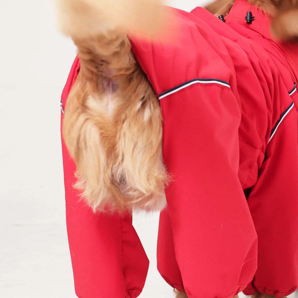 Rain Armor Elite Full Body Waterproof Dog Jumpsuit with Adjustable High Neck