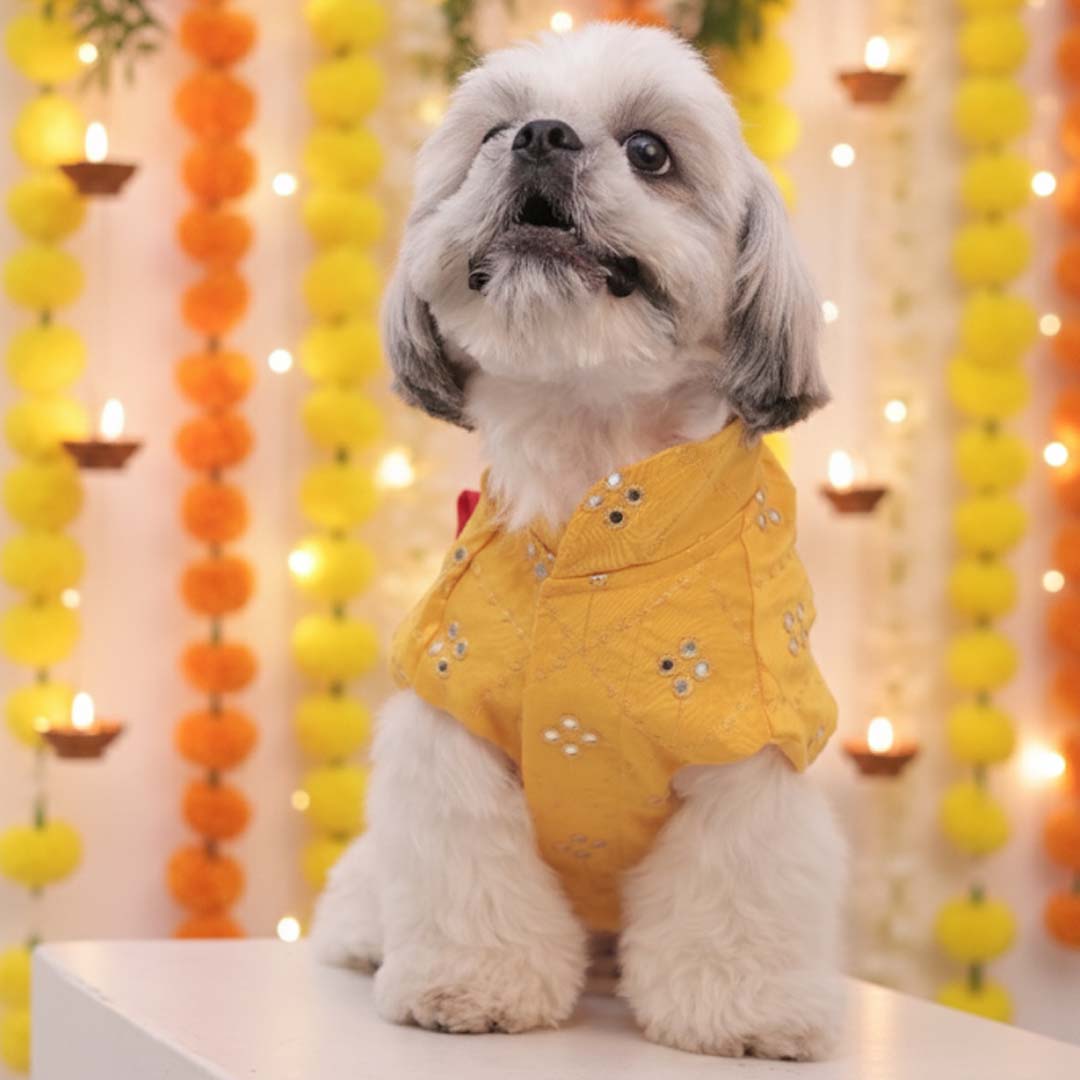 Sunshine Smiles Kurta