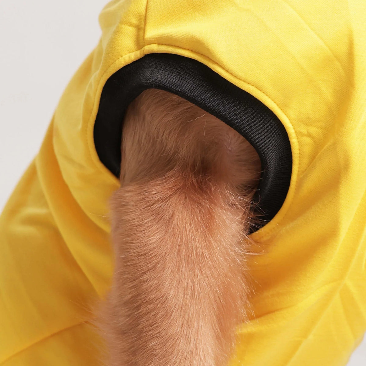 Good Vibes Only Printed Dog T-Shirt – Casual Summer Wear (Yellow)