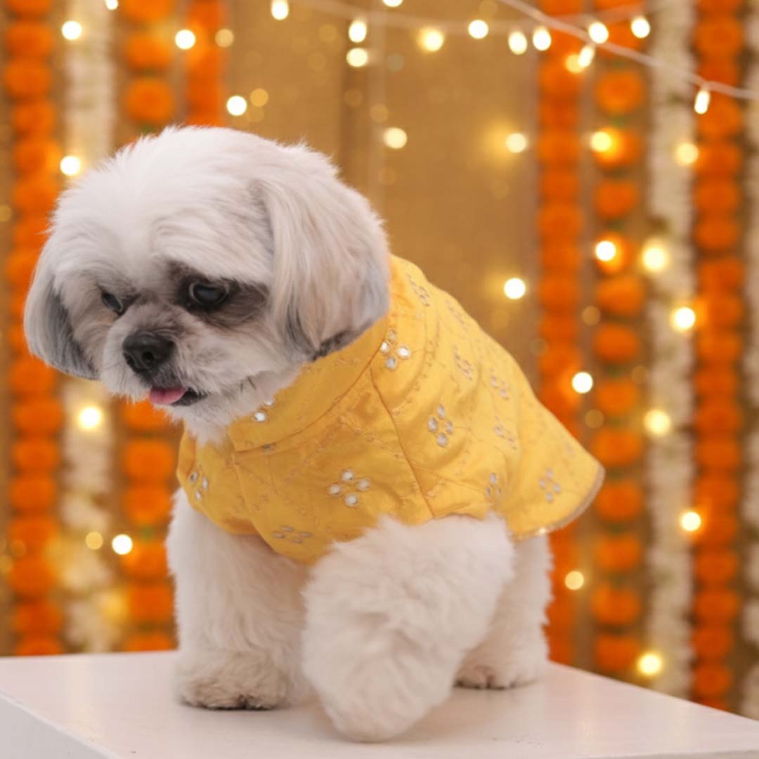 Sunshine Smiles Kurta