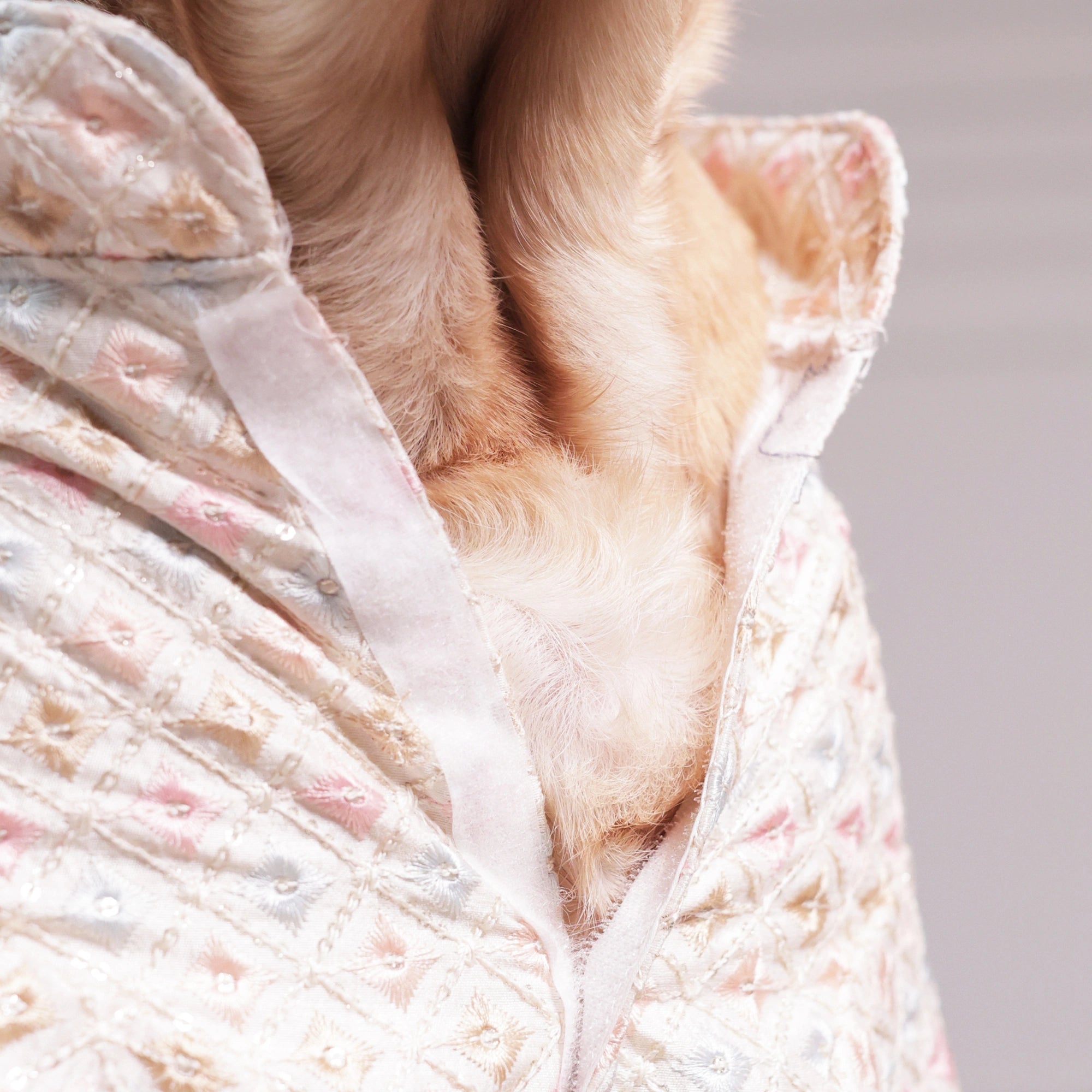 Furryfits Premium Pastel Designer Dog Kurta – Festive Ethnic Wear for Dogs