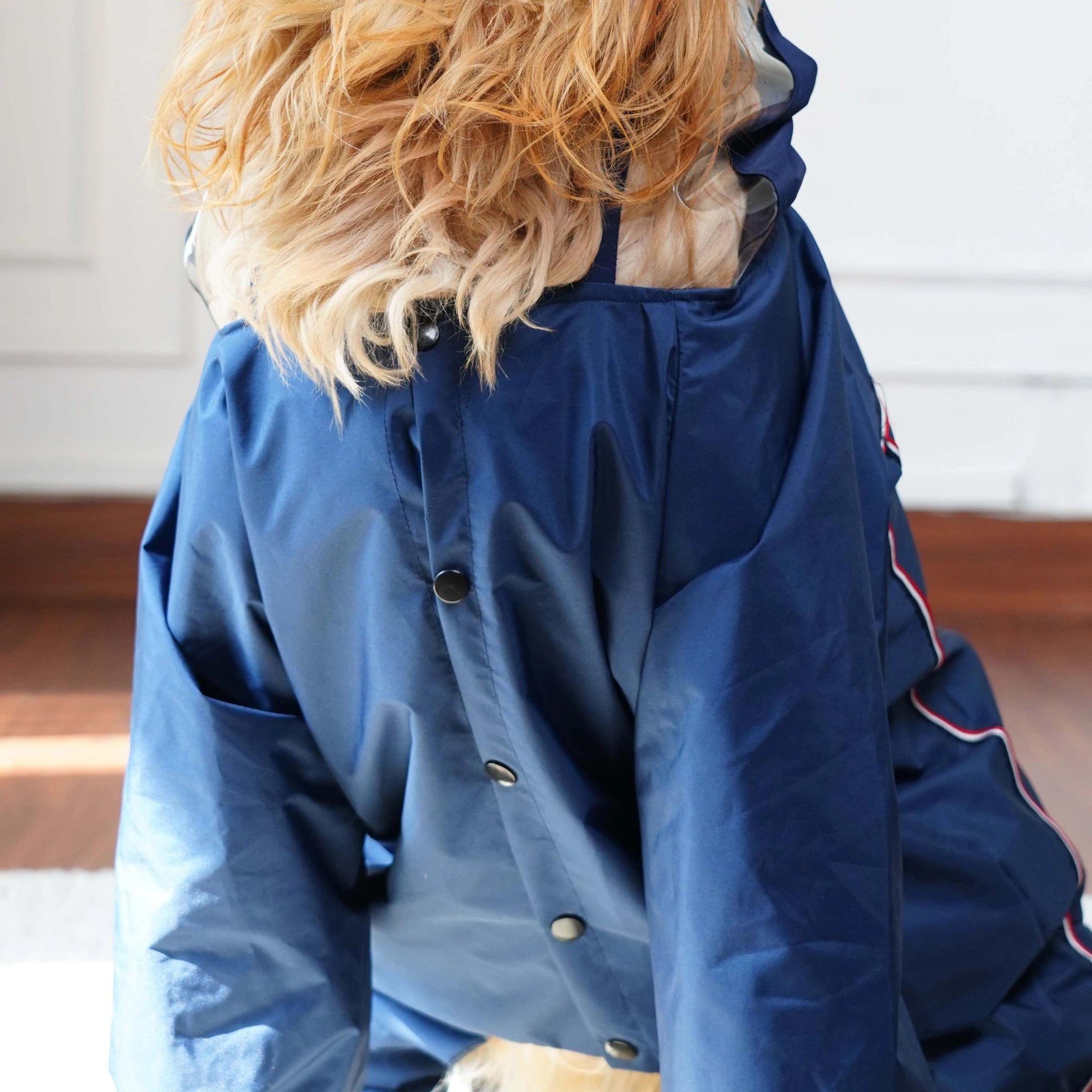 Waterproof Dog Raincoat with Transparent Hood – Lightweight Protective Rain Jacket for Dogs