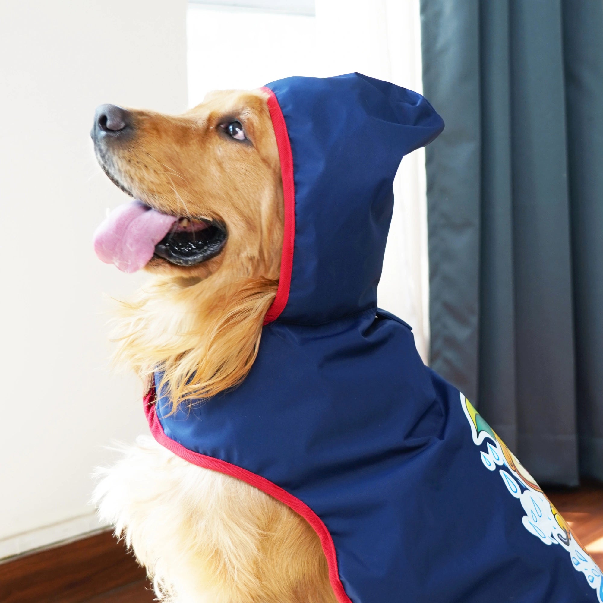 Happy Paws Printed Waterproof Dog Raincoat – Cartoon Monsoon Rain Jacket for Dogs