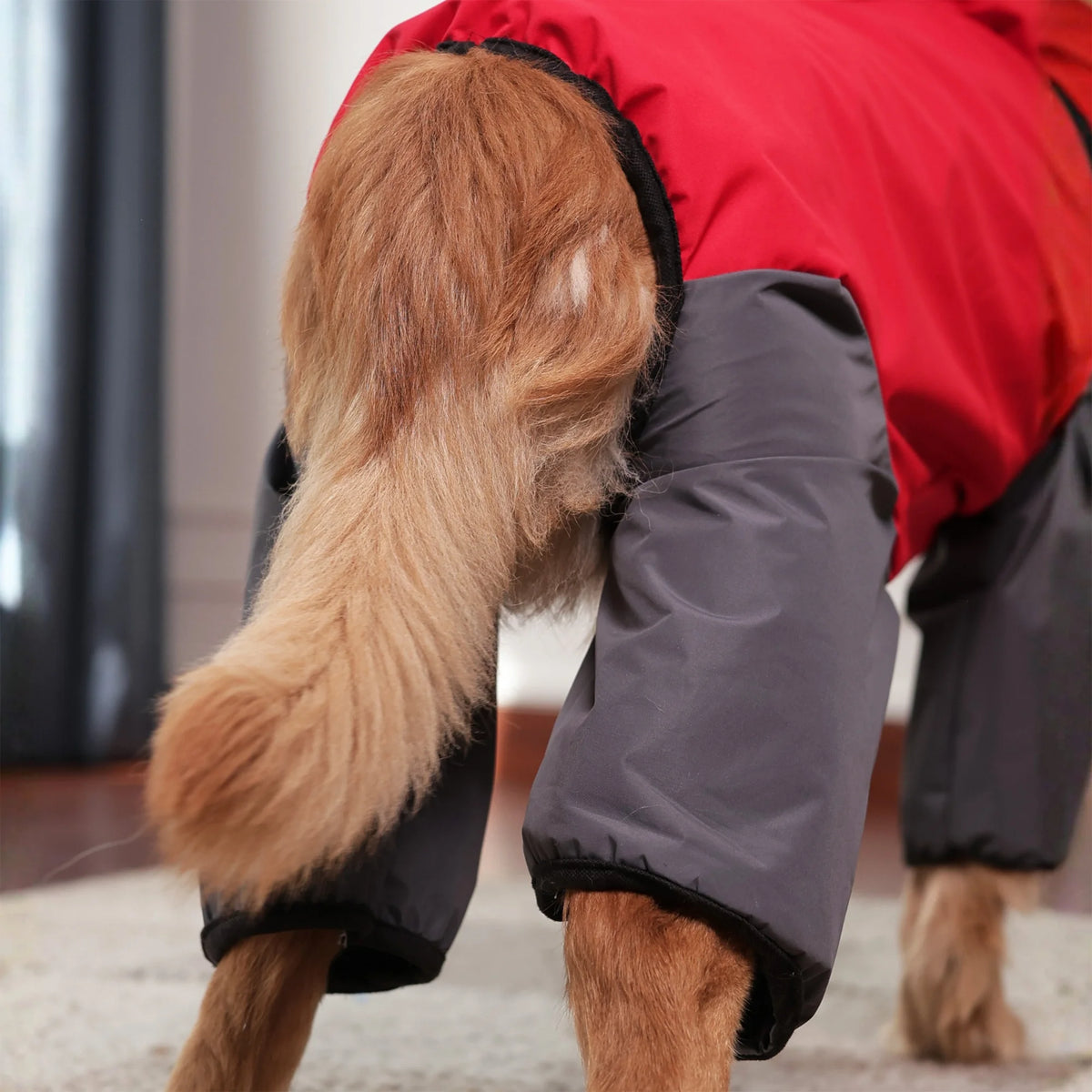 Storm Guard Waterproof Dog Raincoat with Hood- Lightweight All Weather Protection