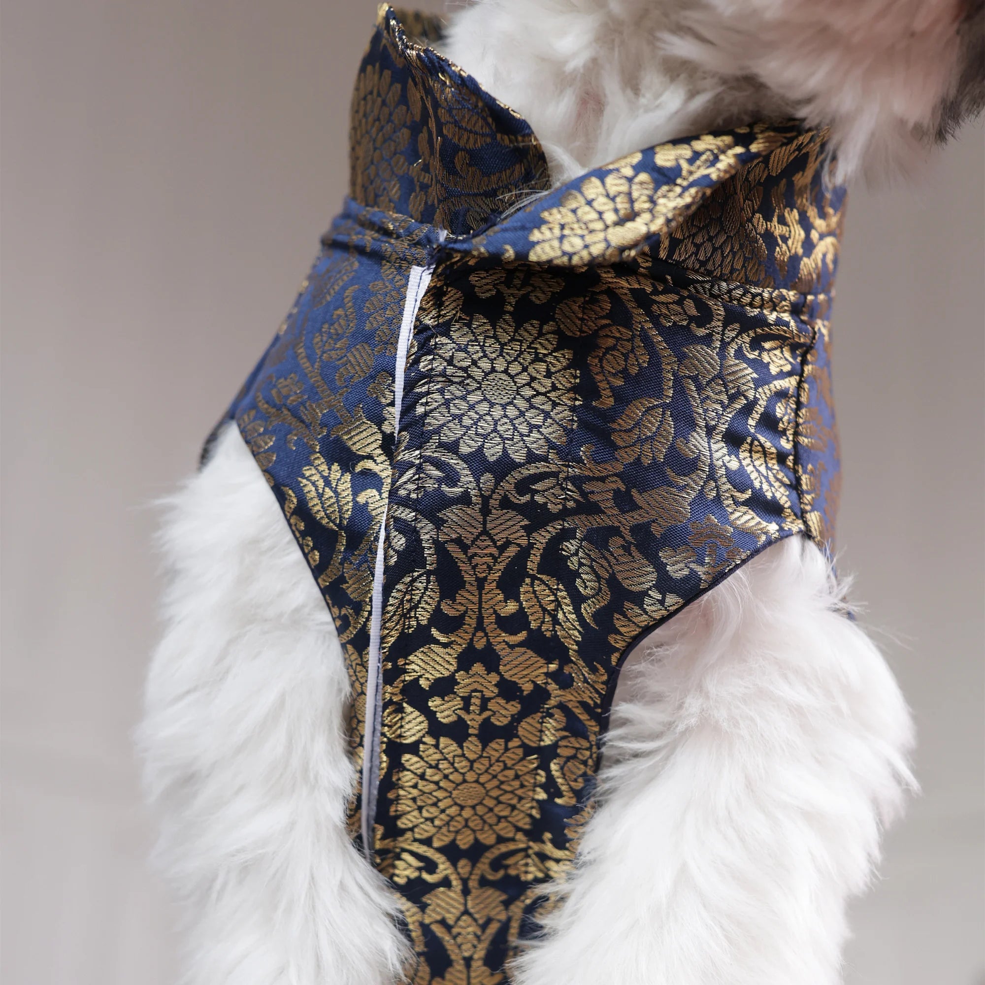 Royal Brocade Dog Kurta – Luxury Wedding & Festive Ethnic Wear (Navy & Gold)