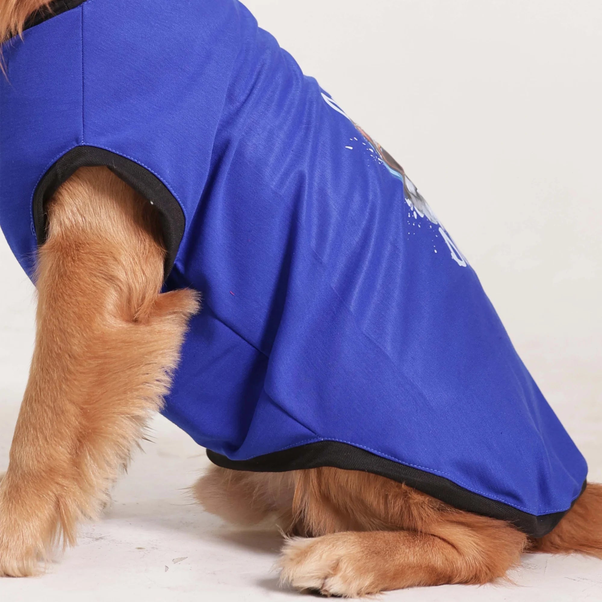 Cute Dog Graphic Printed T-Shirt- Casual Everyday Wear (Blue)