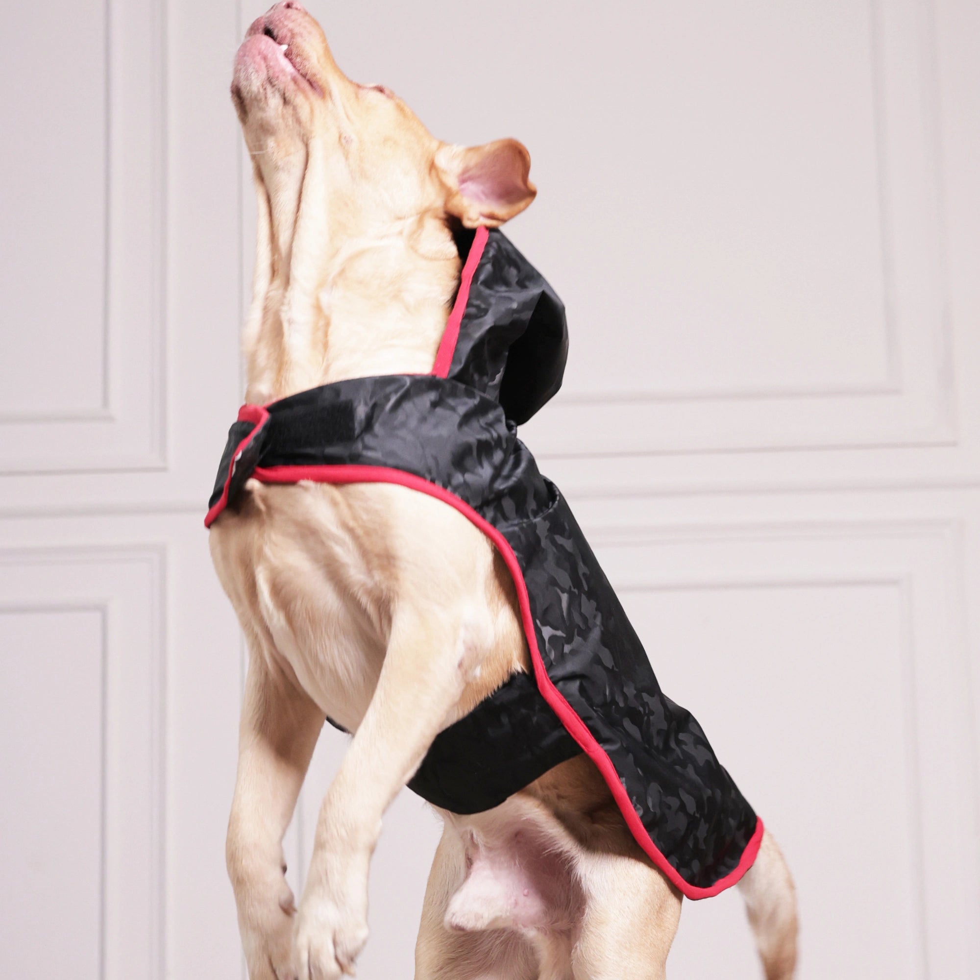 Camouflage Waterproof Dog Raincoat with Hood – Lightweight Rain Jacket for Dogs